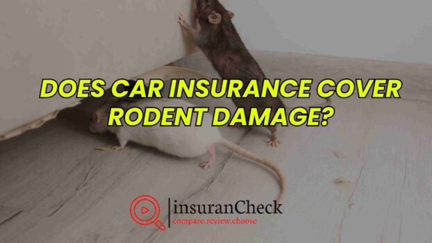 Does Car Insurance Cover Rodent Damage?