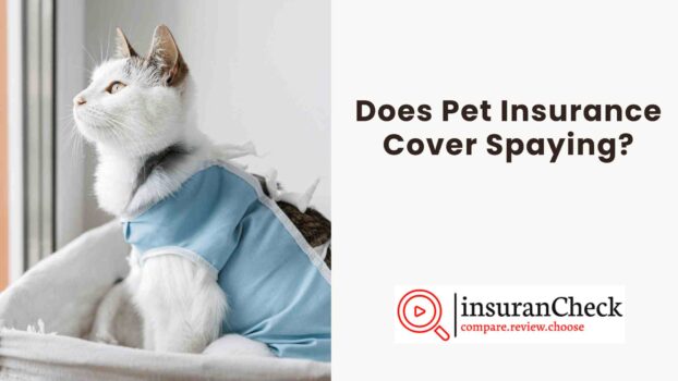 Does Pet Insurance Cover Spaying?