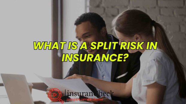 What is a Split Risk in Insurance​?